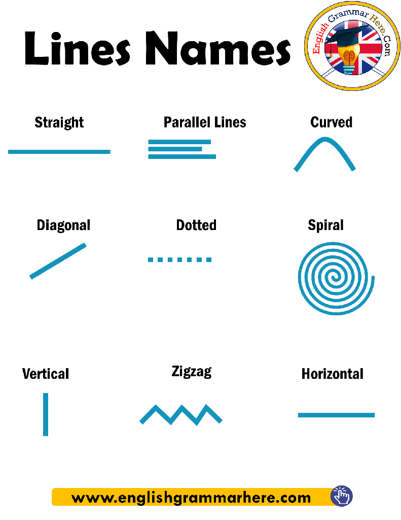 Line & shapes